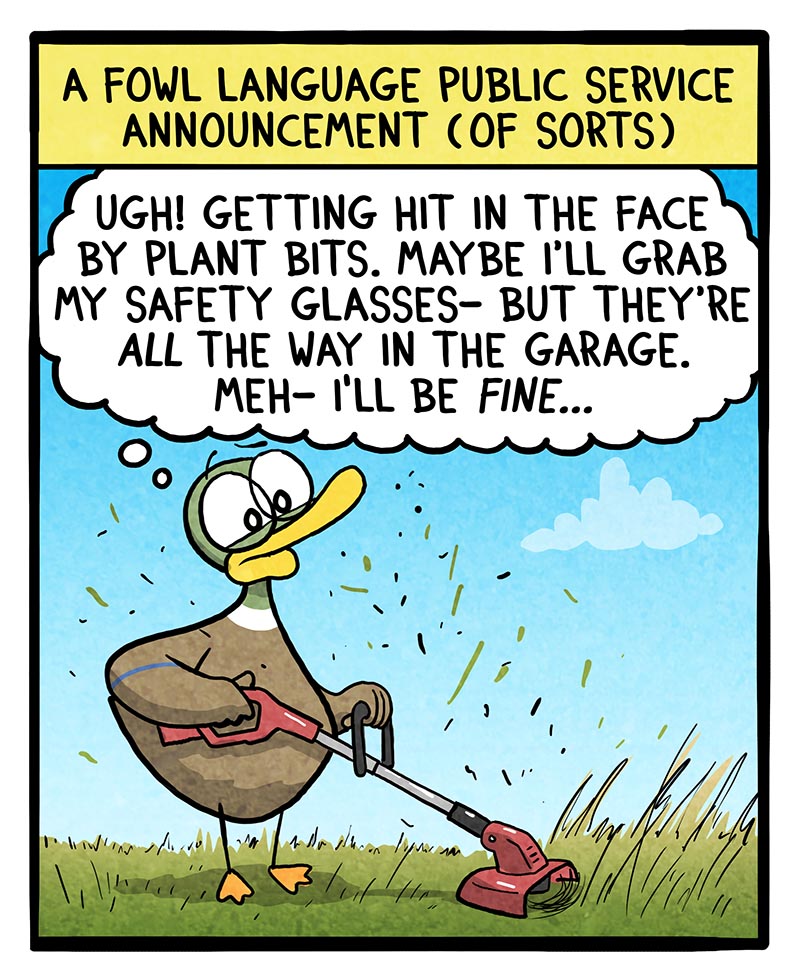 https://cdn.tinyview.com/fowl-language/2024/08/19/safety-tip/safety-tip-1.jpg