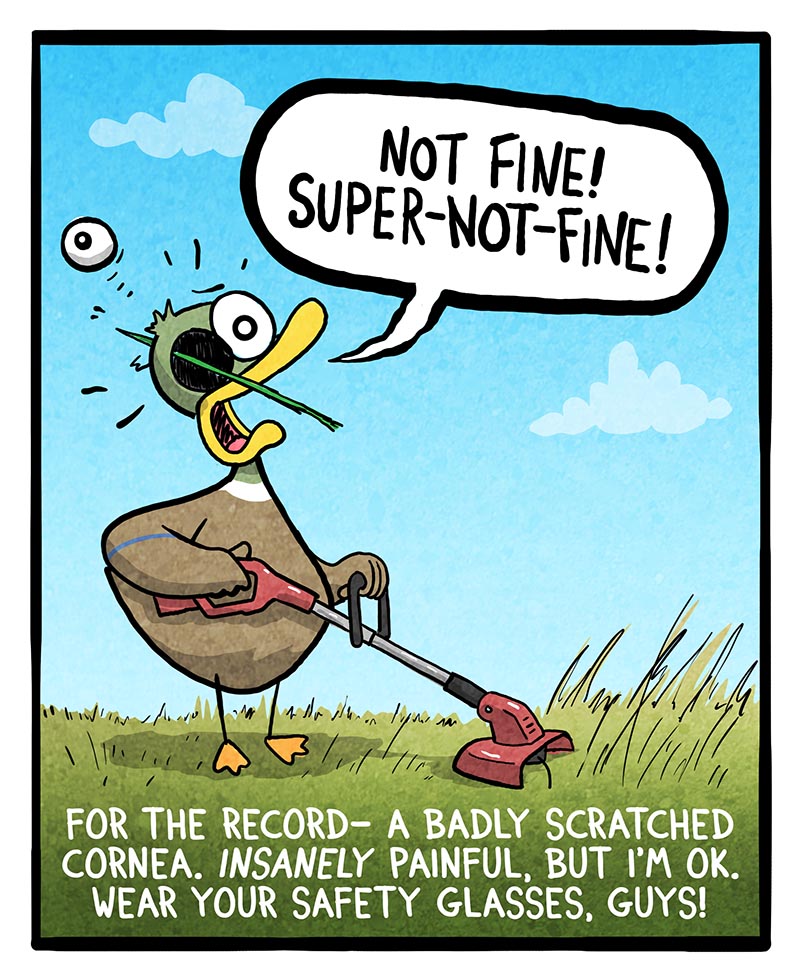 https://cdn.tinyview.com/fowl-language/2024/08/19/safety-tip/safety-tip-2.jpg