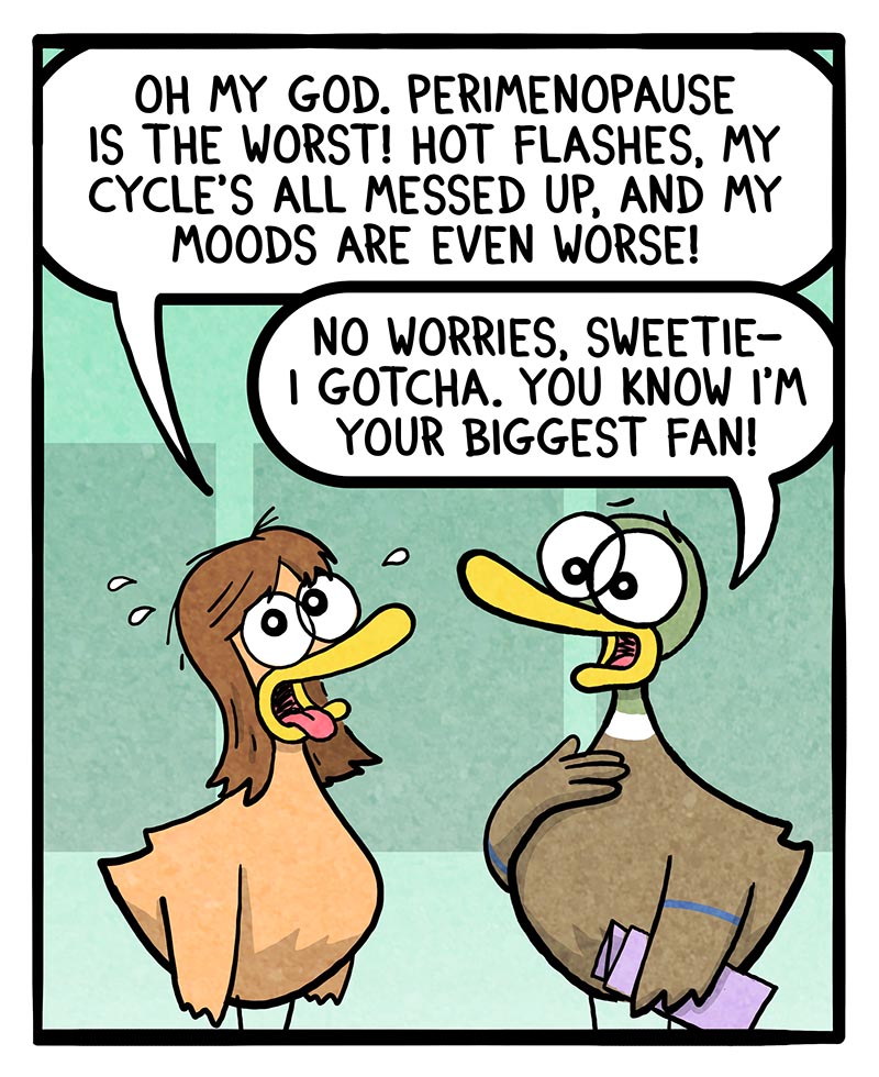 https://cdn.tinyview.com/fowl-language/2024/08/21/perimenopause/perimenopause-1.jpg