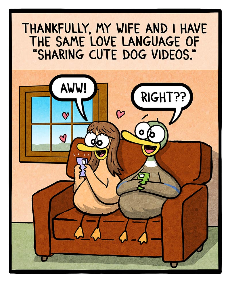https://cdn.tinyview.com/fowl-language/2024/08/26/love-languages/Love-languages-2.jpg