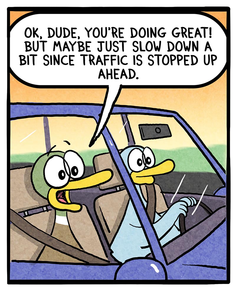 https://cdn.tinyview.com/fowl-language/2024/08/28/driving-lesson/driving-lesson-1.jpg