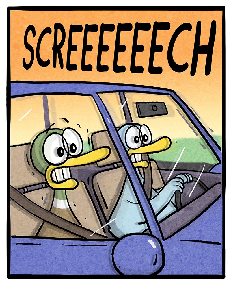 https://cdn.tinyview.com/fowl-language/2024/08/28/driving-lesson/driving-lesson-3.jpg