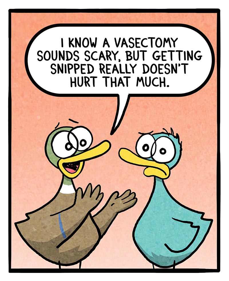 https://cdn.tinyview.com/fowl-language/2024/08/30/vasectomy-pain/vasectomy-pain-1.jpg