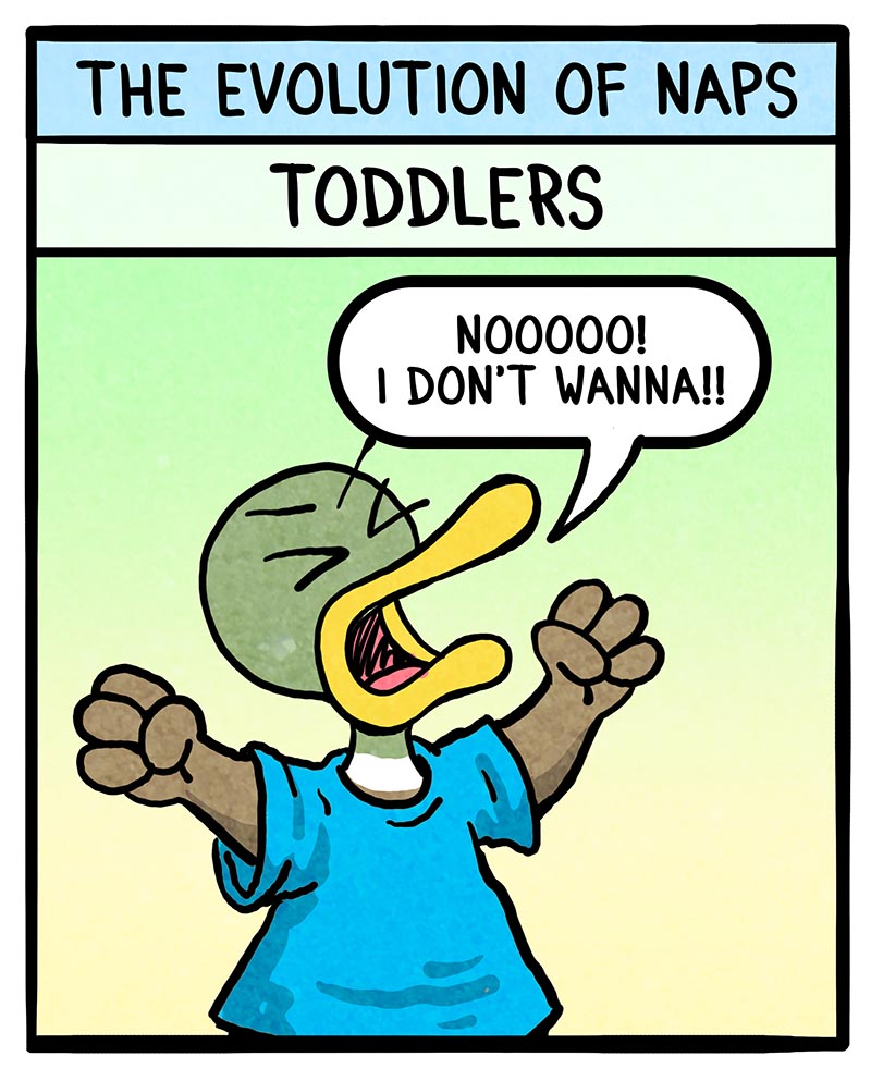 https://cdn.tinyview.com/fowl-language/2024/09/13/evolution-of-naps/evolution-of-naps-1.jpg