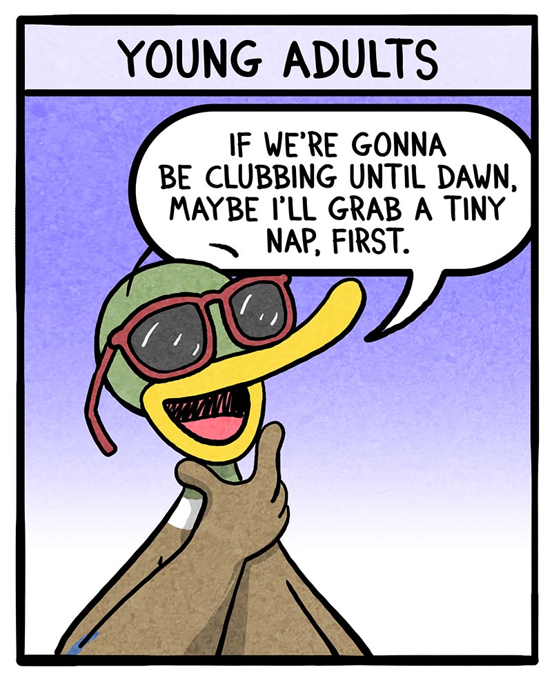 https://cdn.tinyview.com/fowl-language/2024/09/13/evolution-of-naps/evolution-of-naps-3.jpg