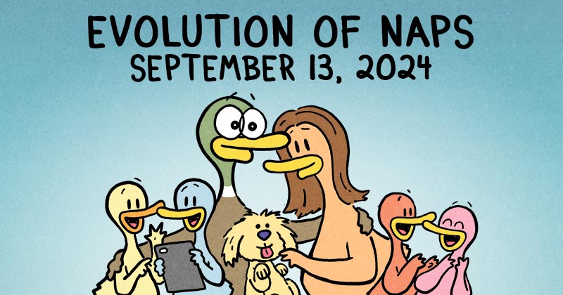 Evolution of Naps