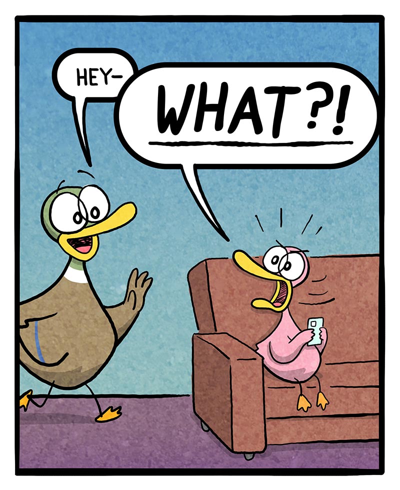 https://cdn.tinyview.com/fowl-language/2024/09/20/what/WHAT-1.jpg