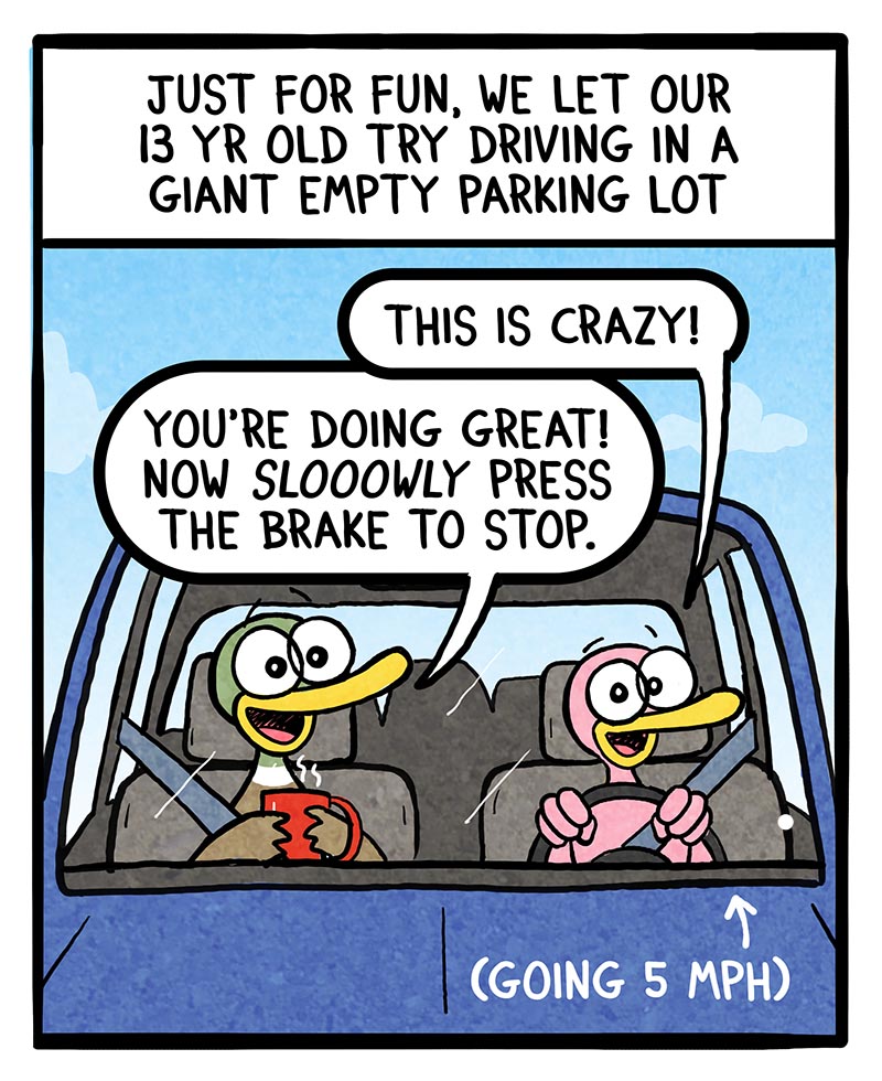 https://cdn.tinyview.com/fowl-language/2024/09/23/first-driving-lesson/First-driving-lesson-1.jpg
