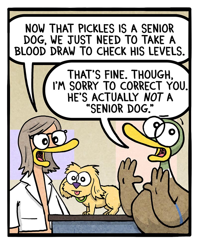 https://cdn.tinyview.com/fowl-language/2024/11/15/senior-dog/Senior-dog-1.jpg