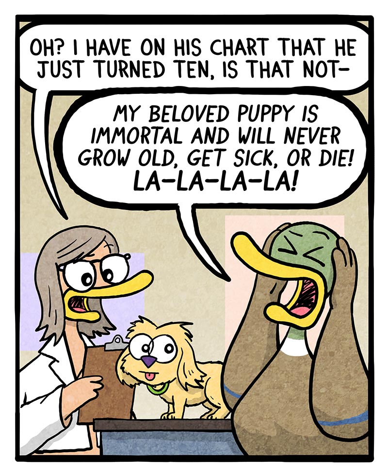 https://cdn.tinyview.com/fowl-language/2024/11/15/senior-dog/Senior-dog-2.jpg