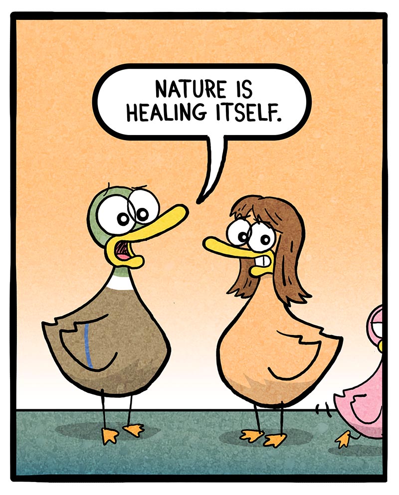 https://cdn.tinyview.com/fowl-language/2024/11/18/getting-along/Getting-along-4.jpg
