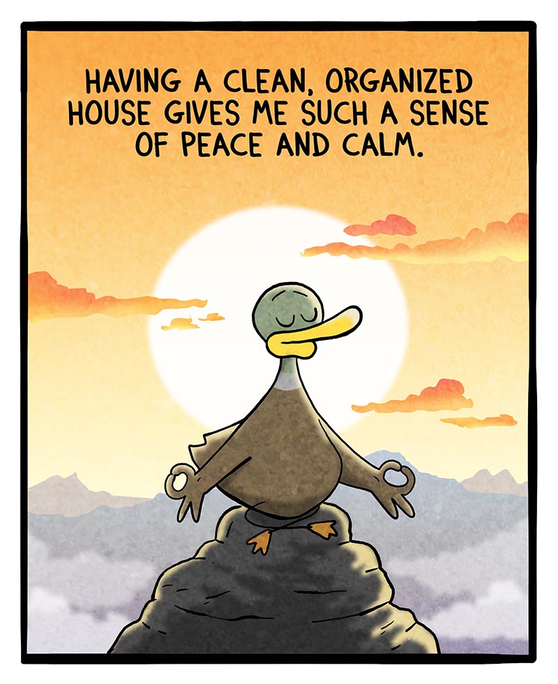 https://cdn.tinyview.com/fowl-language/2024/11/25/peace-and-calm/peace-and-calm-2.jpg