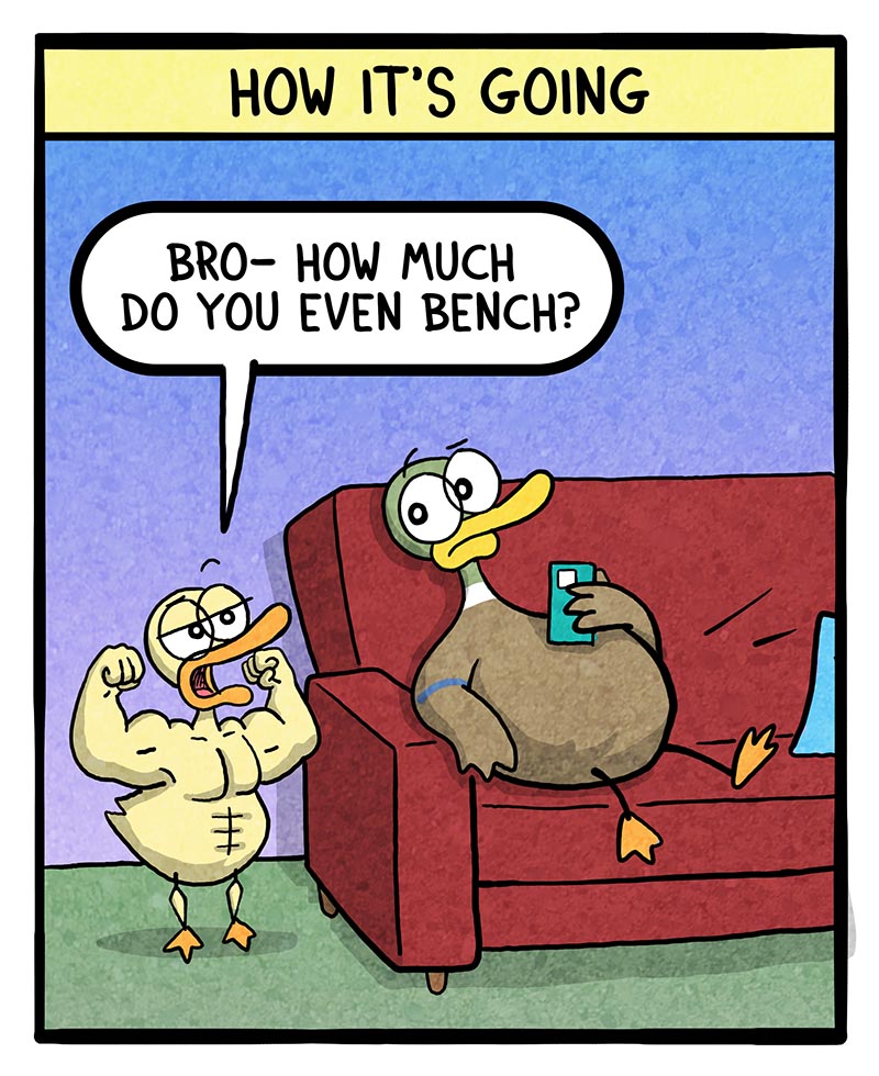 https://cdn.tinyview.com/fowl-language/2024/11/29/exercise/exercise-2.jpg
