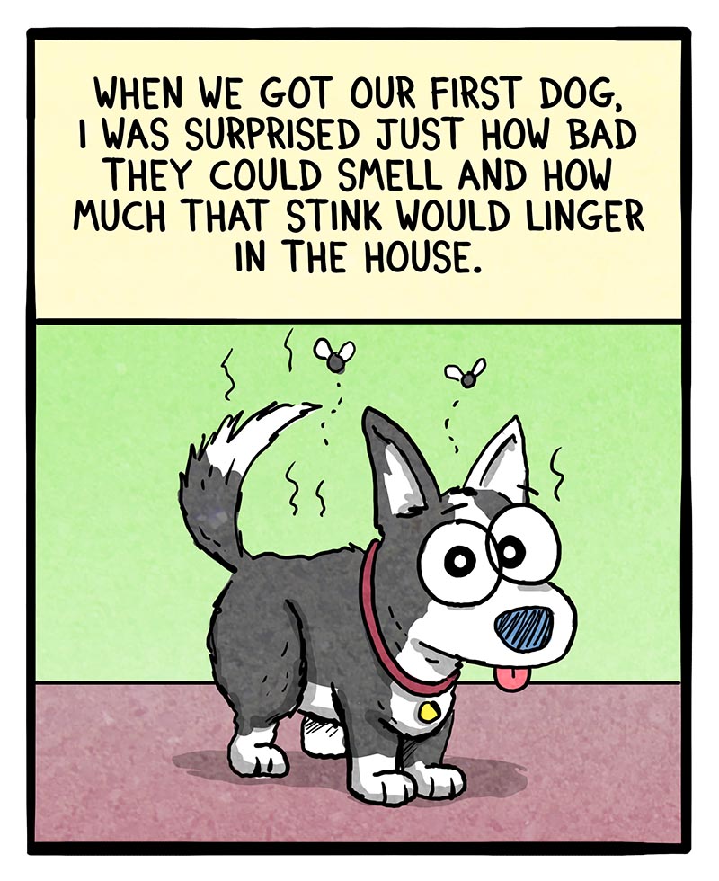 https://cdn.tinyview.com/fowl-language/2024/12/04/stinnky-dog/stinky-dog-1.jpg