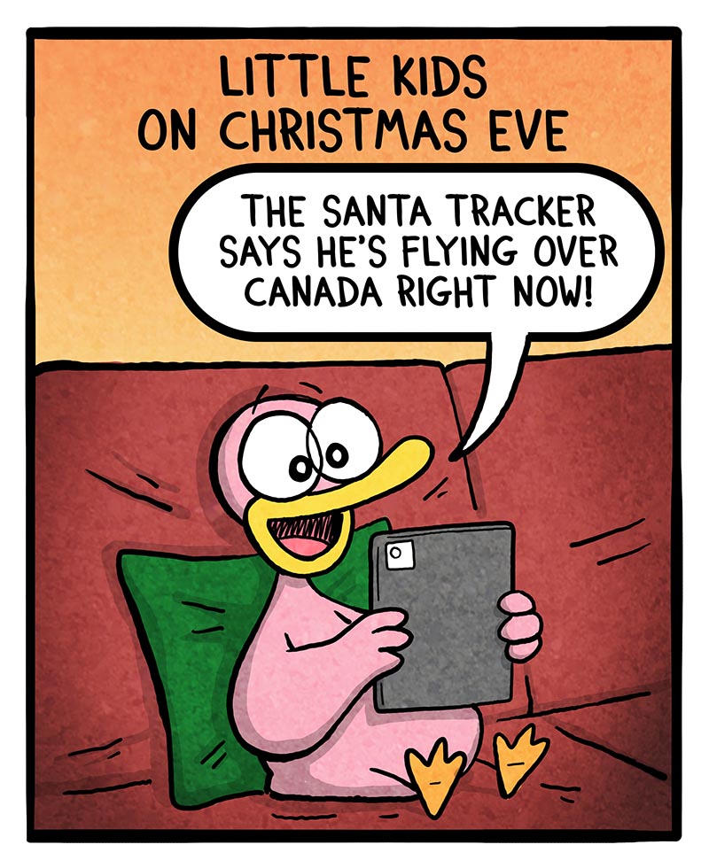 https://cdn.tinyview.com/fowl-language/2024/12/20/tracking-santa/tracking-santa-1.jpg