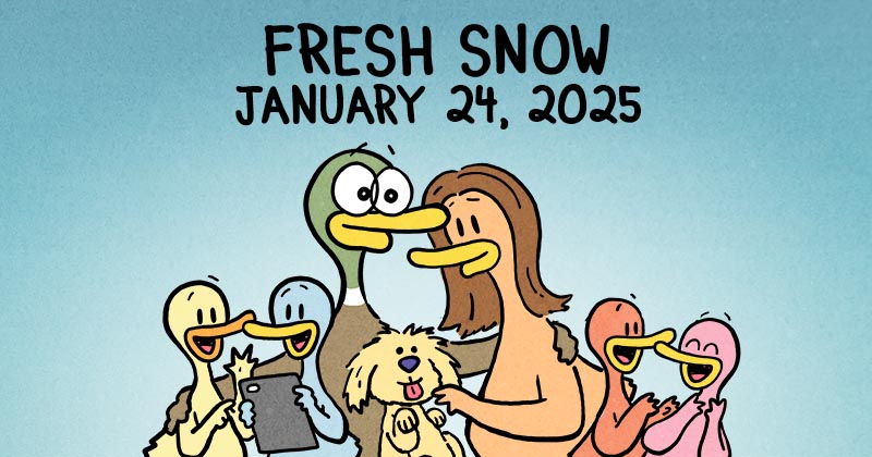 Fresh Snow