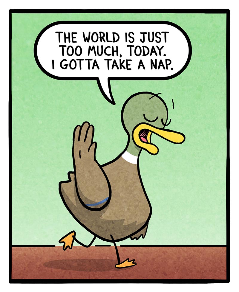 https://cdn.tinyview.com/fowl-language/2025/02/14/time-for-a-nap/time-for-a-nap-1.jpg