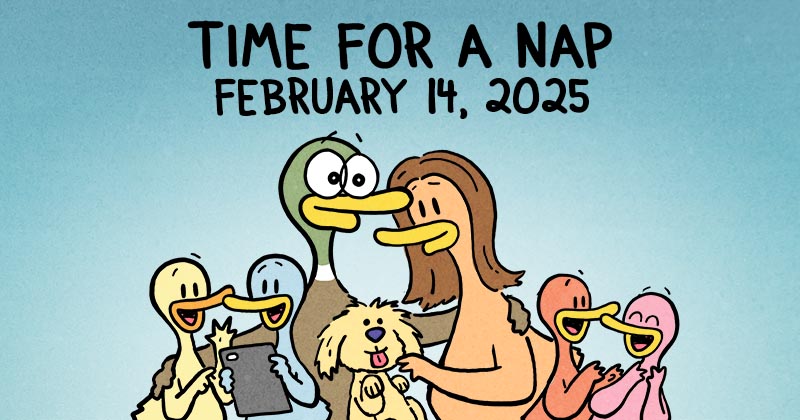 https://cdn.tinyview.com/fowl-language/2025/02/14/time-for-a-nap/time-for-a-nap-header.jpg