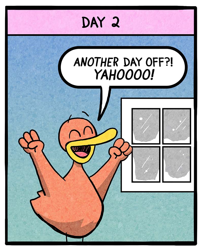 https://cdn.tinyview.com/fowl-language/2025/02/21/multiple-snow-days/multiple-snow-days-2.jpg