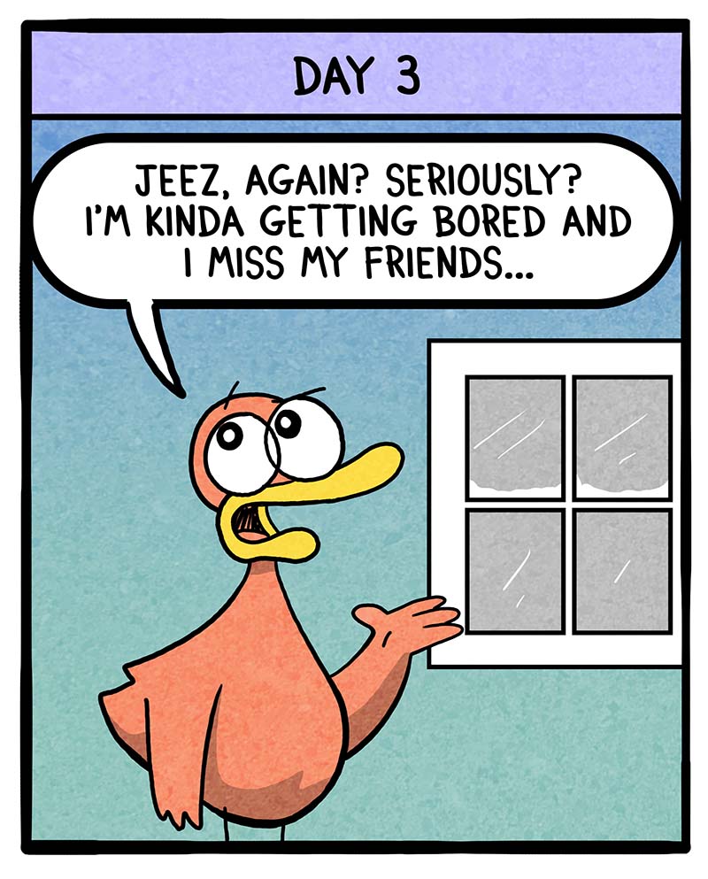https://cdn.tinyview.com/fowl-language/2025/02/21/multiple-snow-days/multiple-snow-days-3.jpg