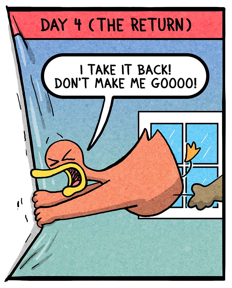 https://cdn.tinyview.com/fowl-language/2025/02/21/multiple-snow-days/multiple-snow-days-4.jpg