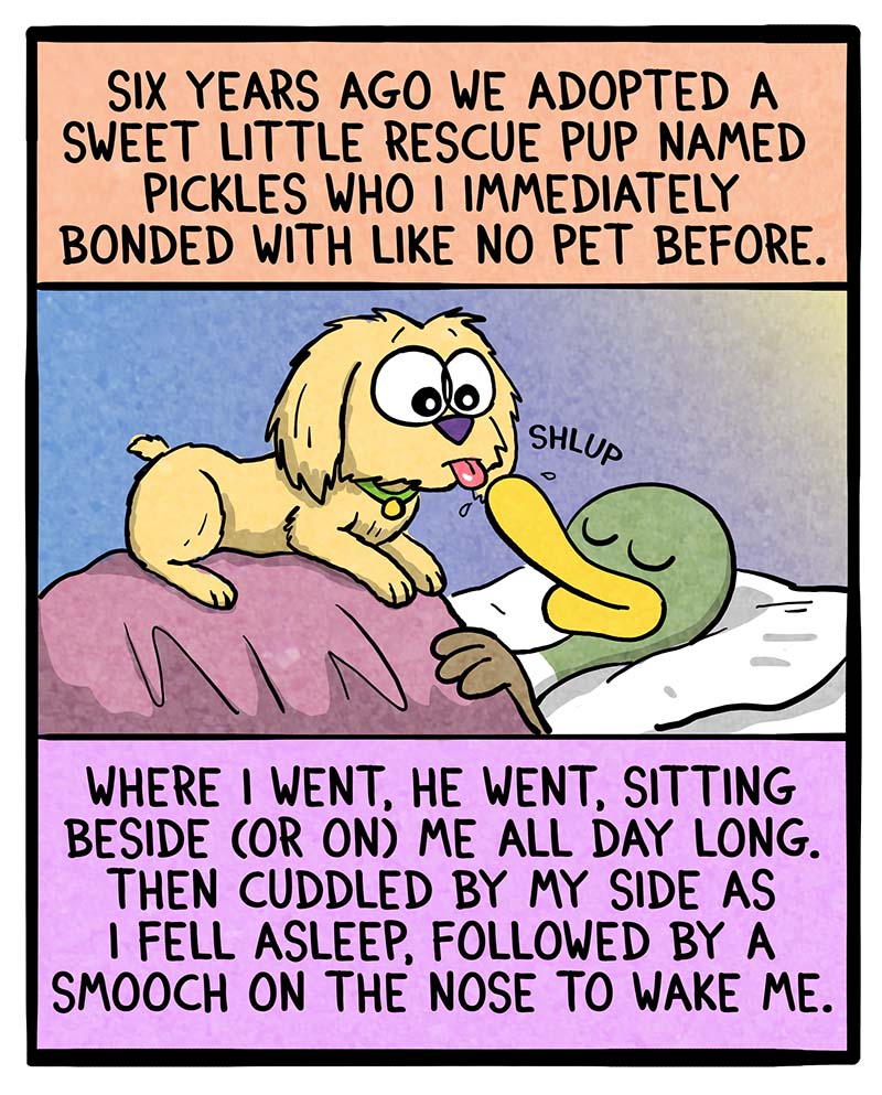 https://cdn.tinyview.com/fowl-language/2025/02/24/sick-puppy/sick-puppy-1.jpg