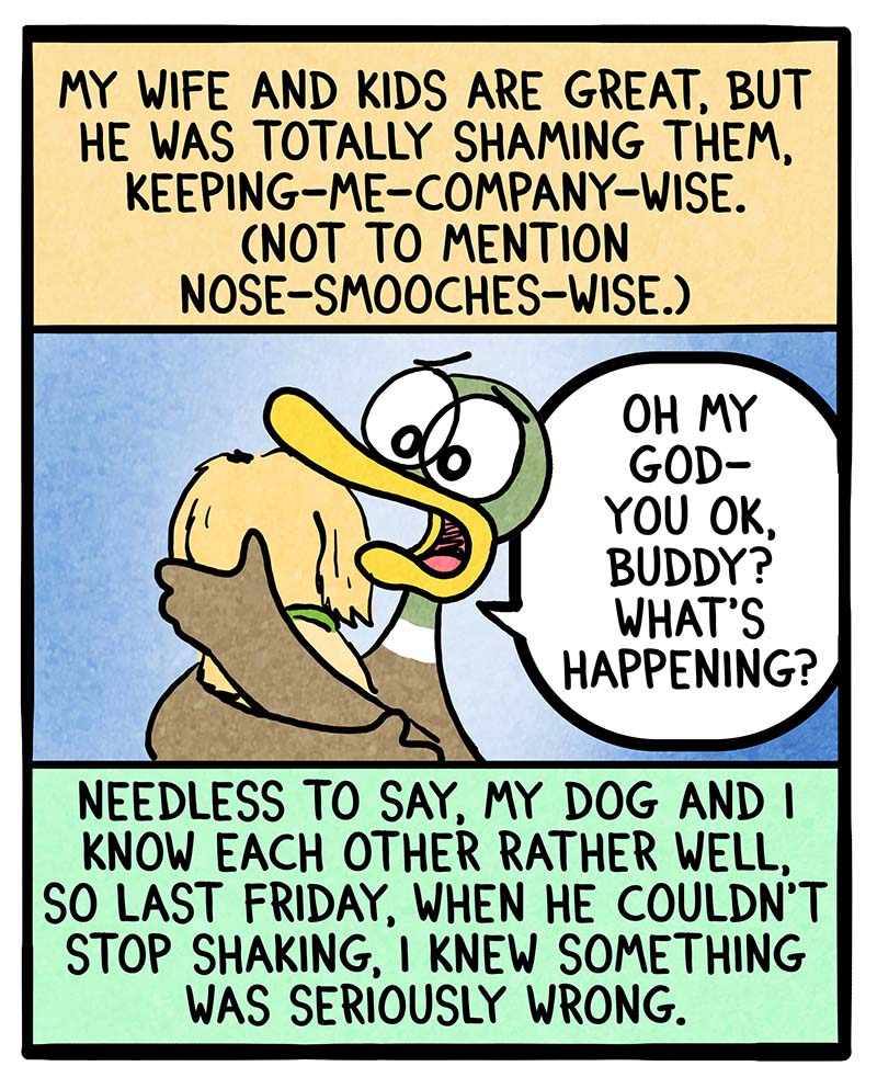 https://cdn.tinyview.com/fowl-language/2025/02/24/sick-puppy/sick-puppy-2.jpg