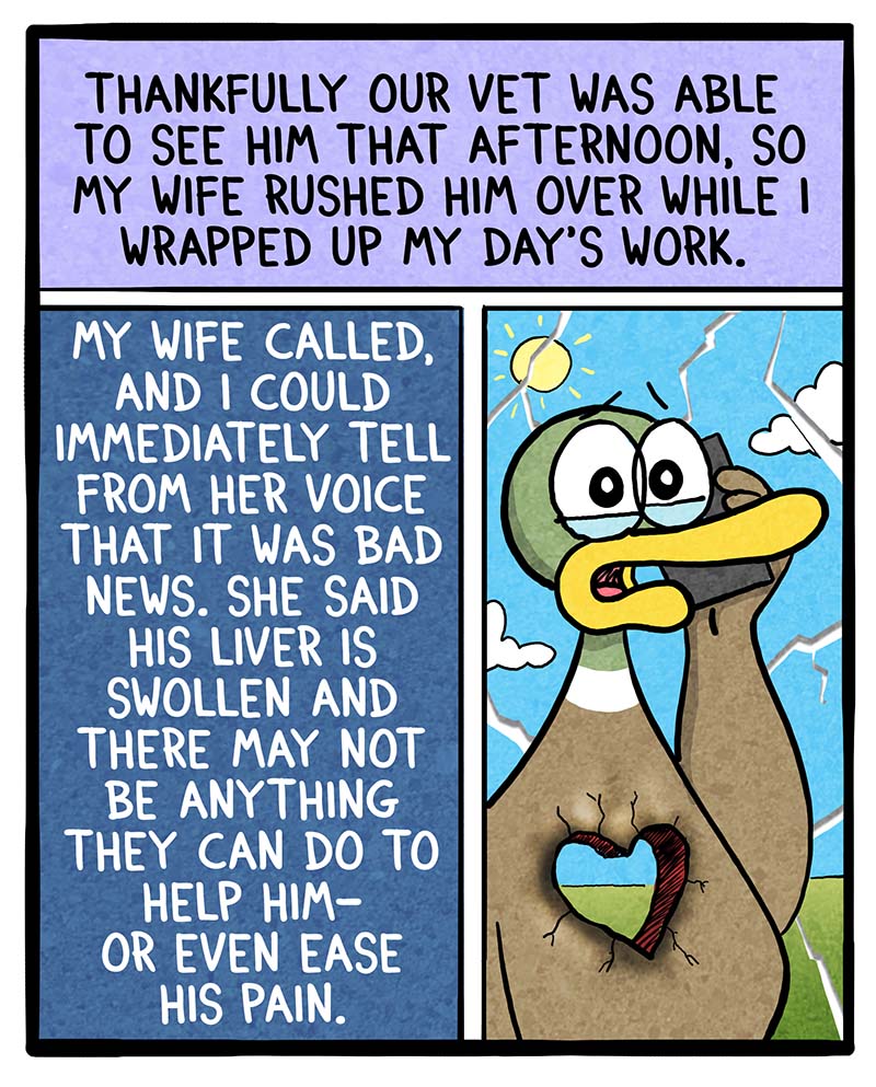 https://cdn.tinyview.com/fowl-language/2025/02/24/sick-puppy/sick-puppy-3.jpg
