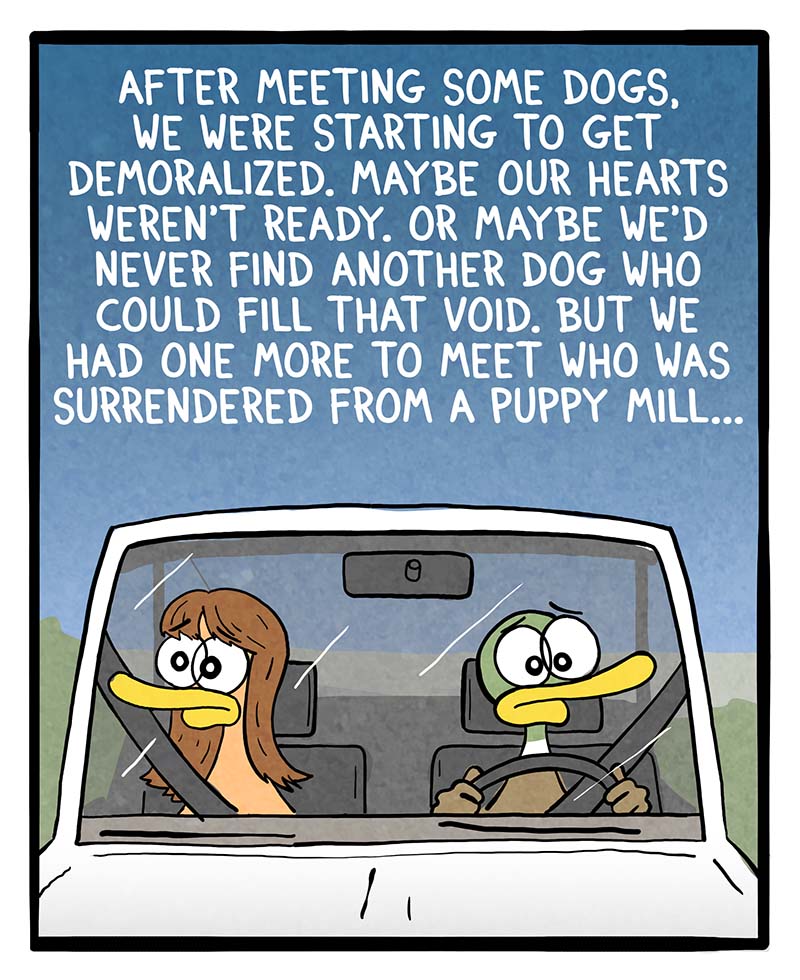 https://cdn.tinyview.com/fowl-language/2025/03/07/circle-of-life/circle-of-life-1.jpg