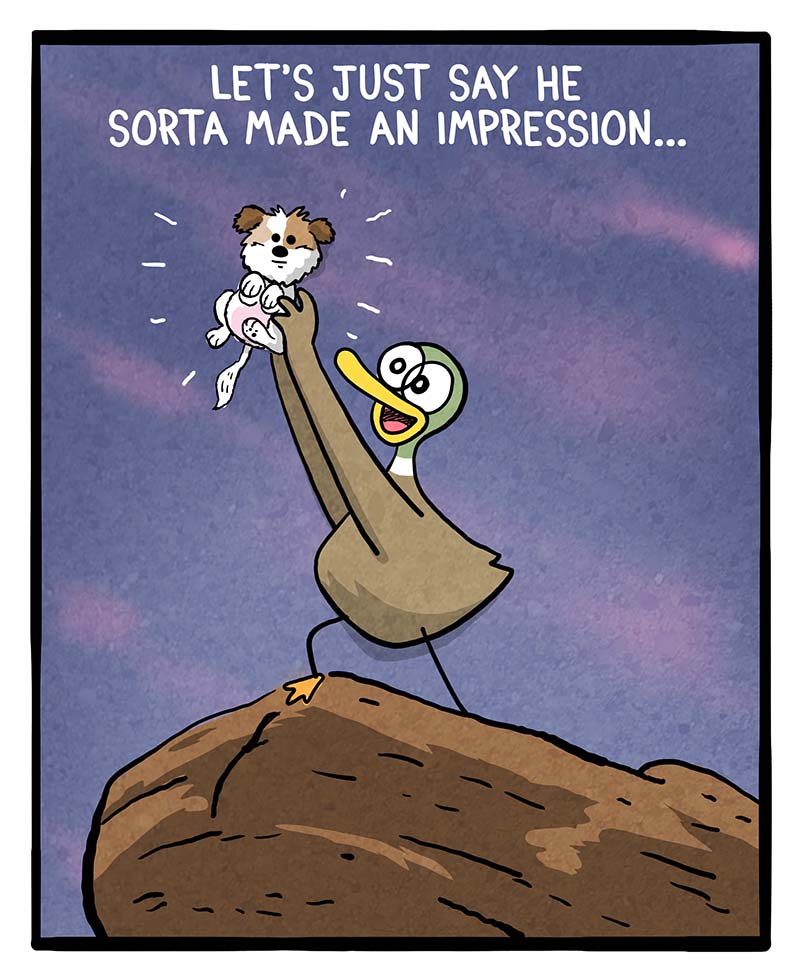 https://cdn.tinyview.com/fowl-language/2025/03/07/circle-of-life/circle-of-life-2.jpg