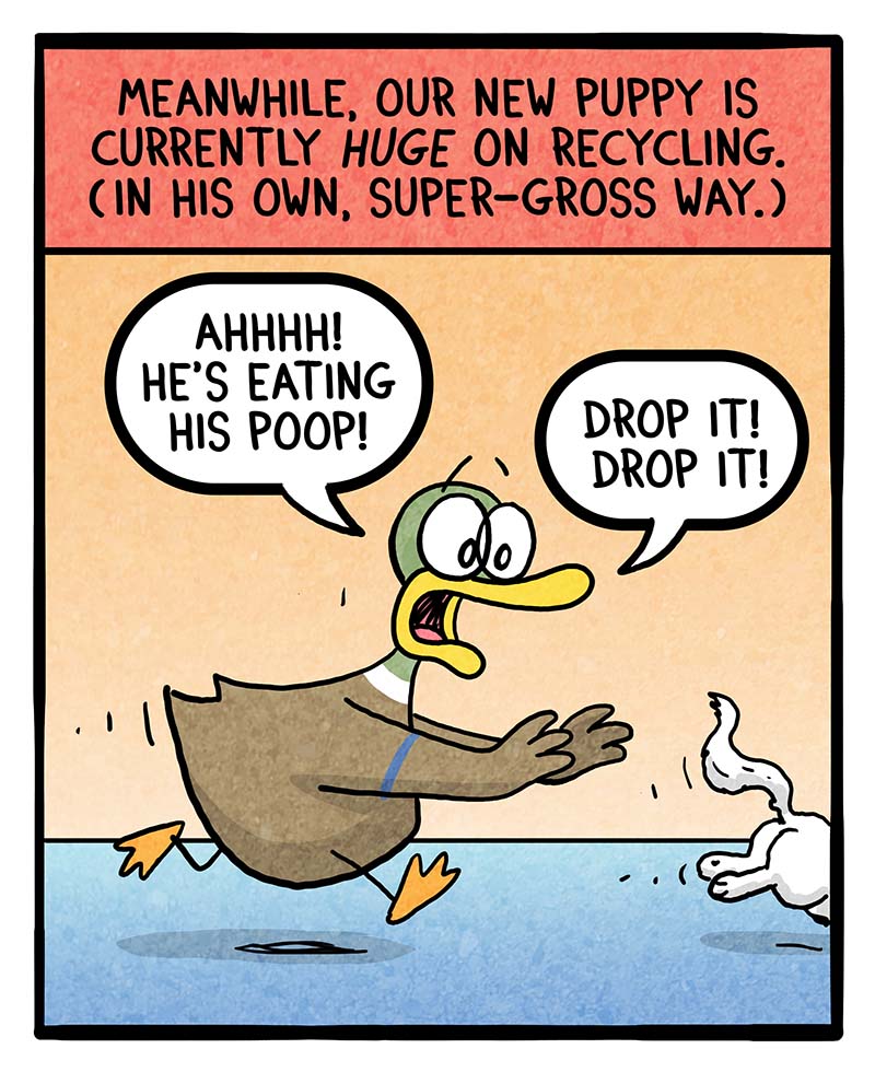https://cdn.tinyview.com/fowl-language/2025/03/11/recycling/recycling-2.jpg