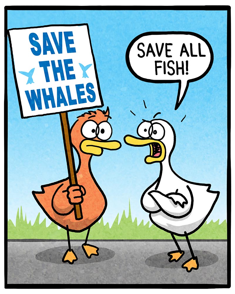 https://cdn.tinyview.com/fowl-language/2025/03/18/blm/BLM-1.jpeg