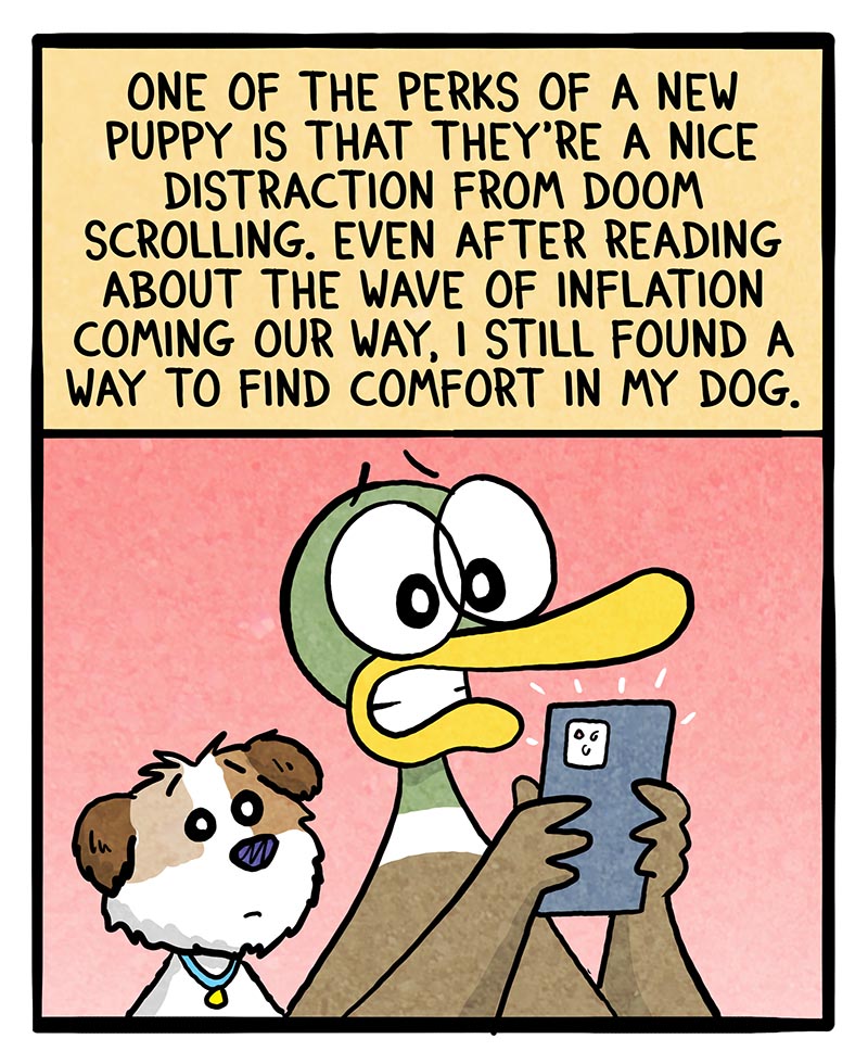 https://cdn.tinyview.com/fowl-language/2025/04/07/inflation-distraction/inflation-distraction-1.jpg