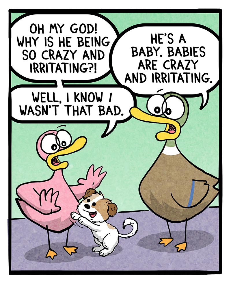 https://cdn.tinyview.com/fowl-language/2025/05/09/crazy-babies/crazy-babies-1.jpg