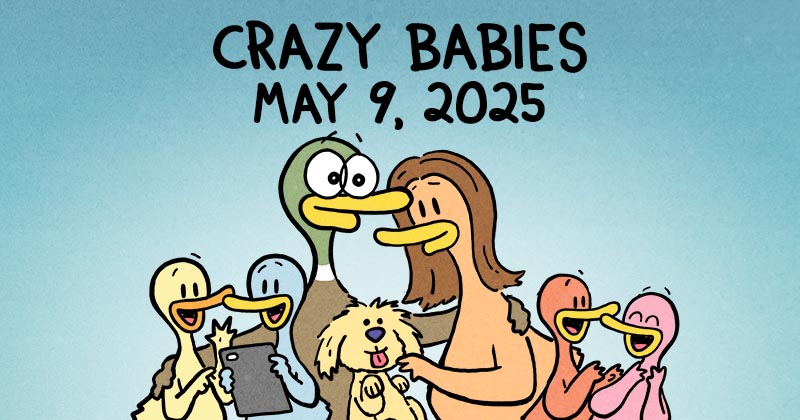 Crazy Babies