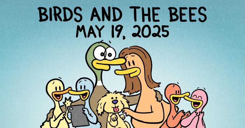 Birds and the Bees