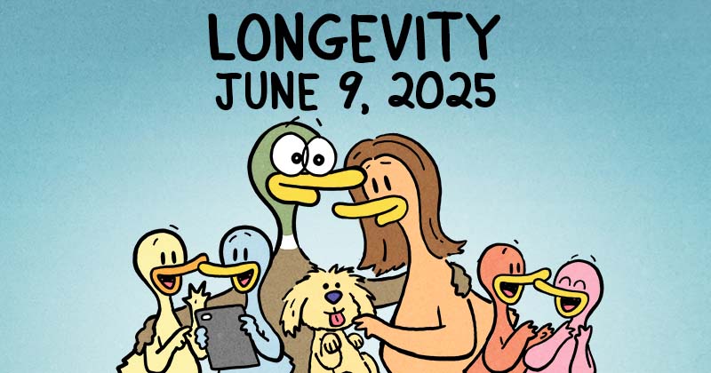 Longevity