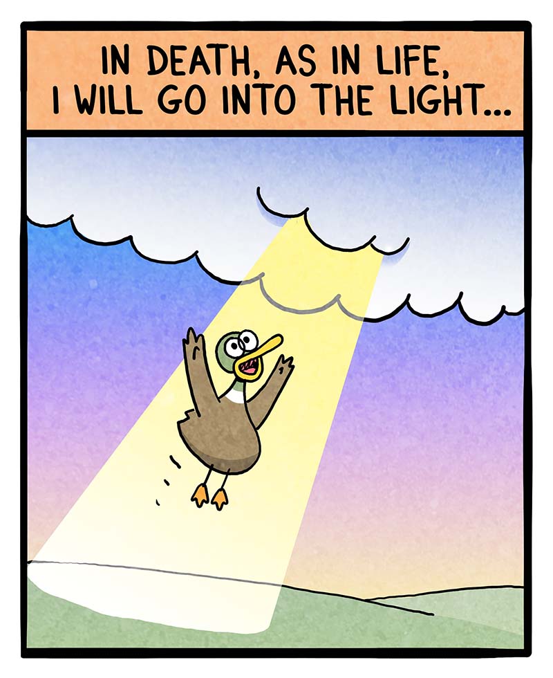 https://cdn.tinyview.com/fowl-language/2025/07/02/into-the-light/into-the-light-1.jpg