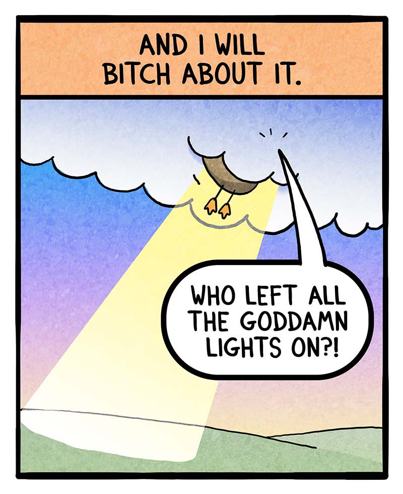 https://cdn.tinyview.com/fowl-language/2025/07/02/into-the-light/into-the-light-2.jpg