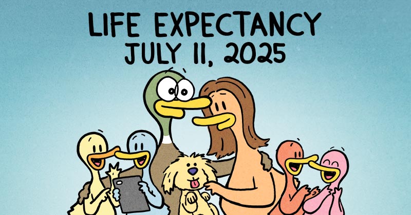 Life Expectancy