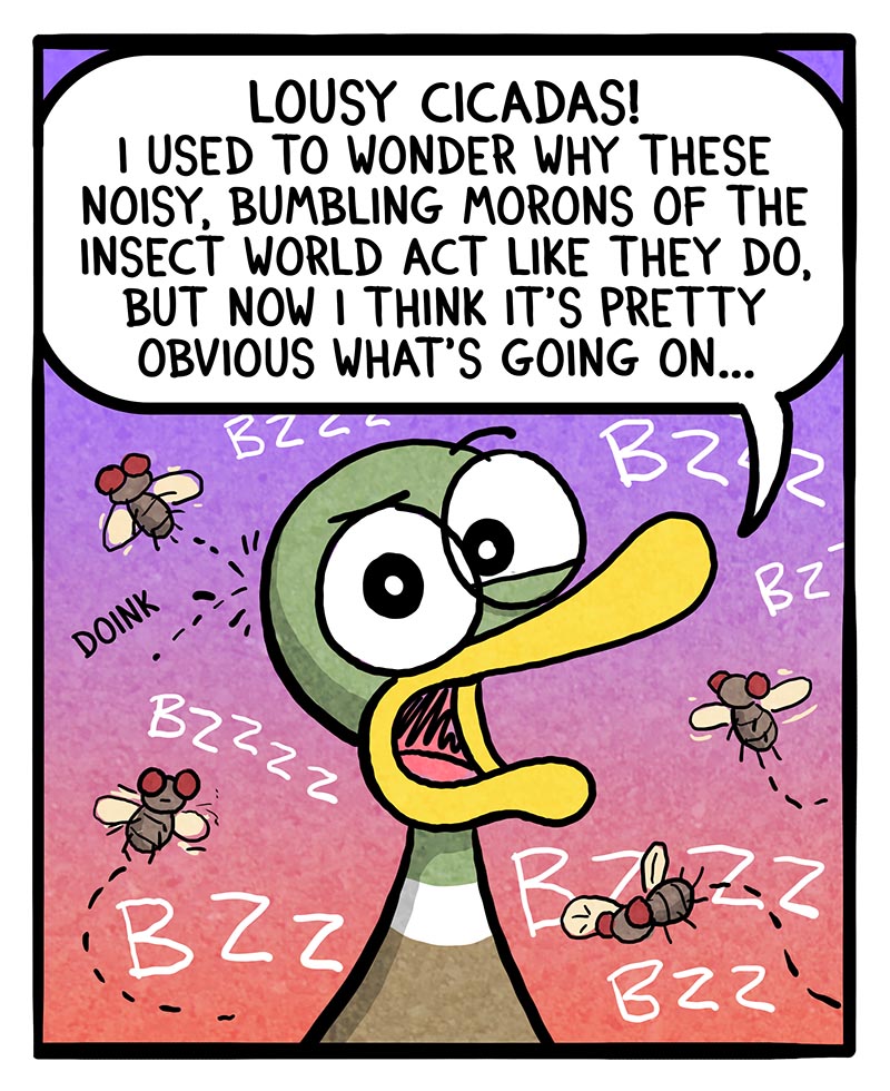 https://cdn.tinyview.com/fowl-language/2025/08/08/cicadas-explained/cicadas-explained-1.jpg