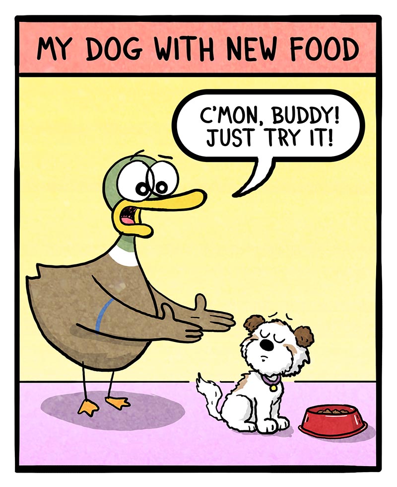 https://cdn.tinyview.com/fowl-language/2025/08/11/dog-food/dog-food-1.jpg