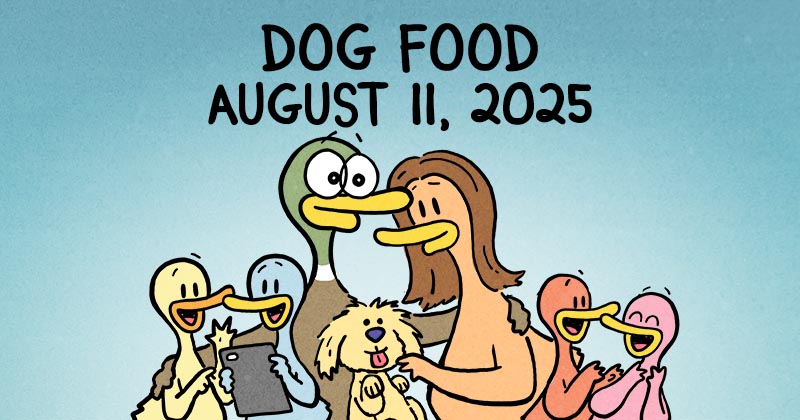 Dog Food
