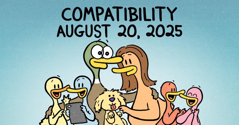Compatibility