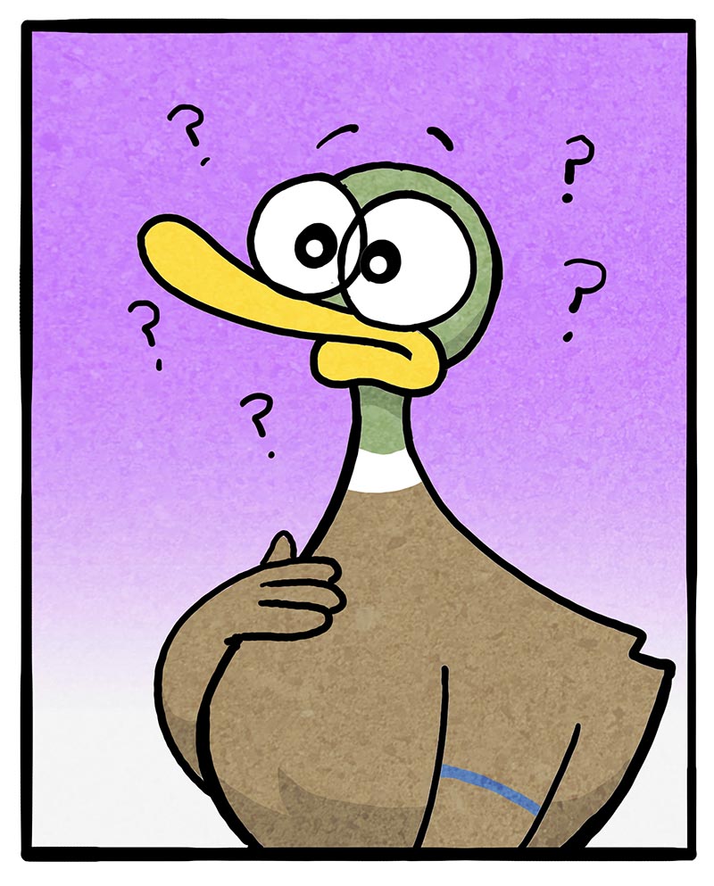 https://cdn.tinyview.com/fowl-language/2025/09/03/birthday-with-the-kids/birthday-with-the-kids-3.jpg