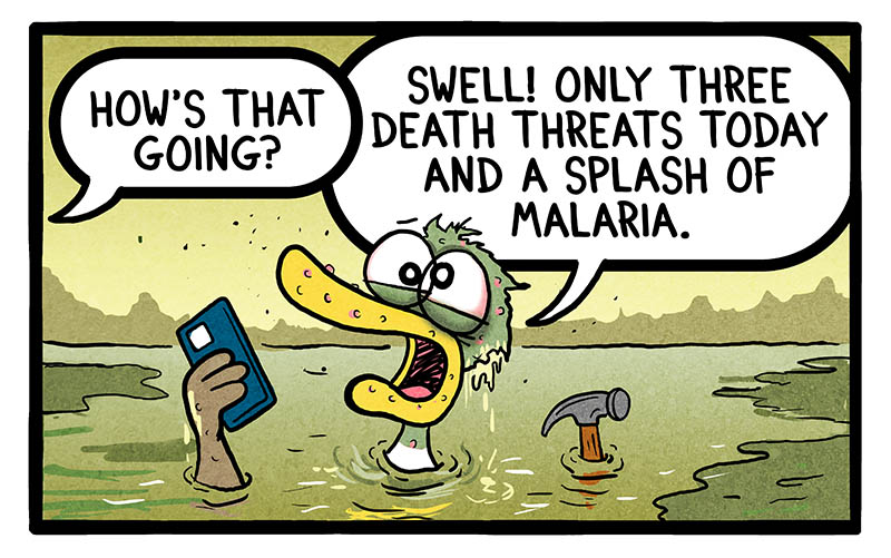 bonus-panel-image