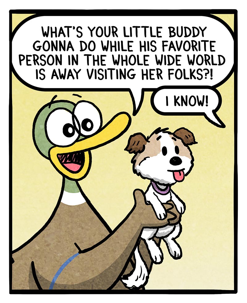 https://cdn.tinyview.com/fowl-language/2026/02/01/favorite-person/favorite-person-1.jpg
