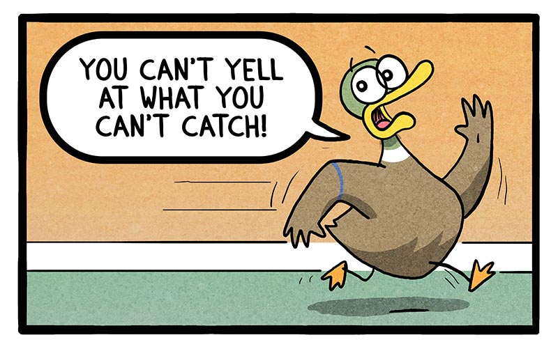 bonus-panel-image