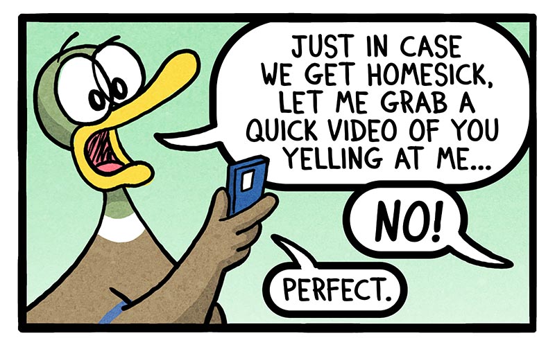 bonus-panel-image