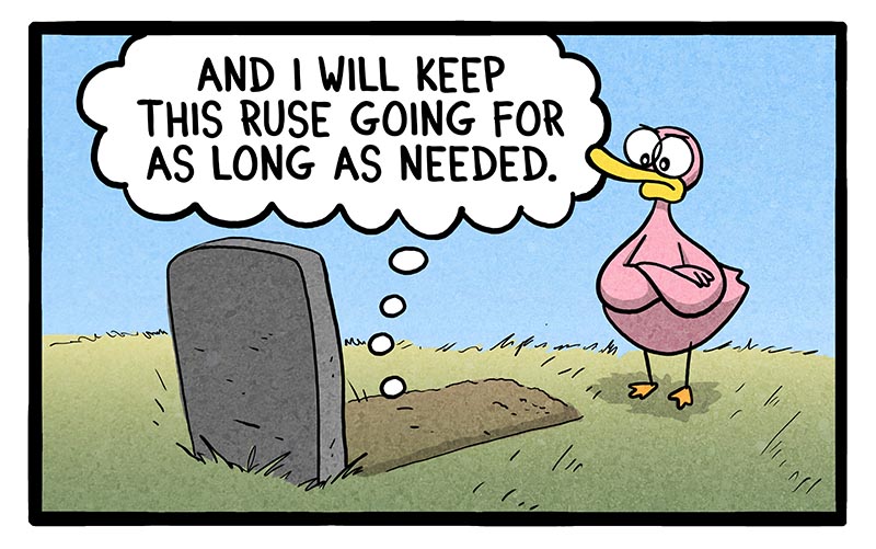 bonus-panel-image